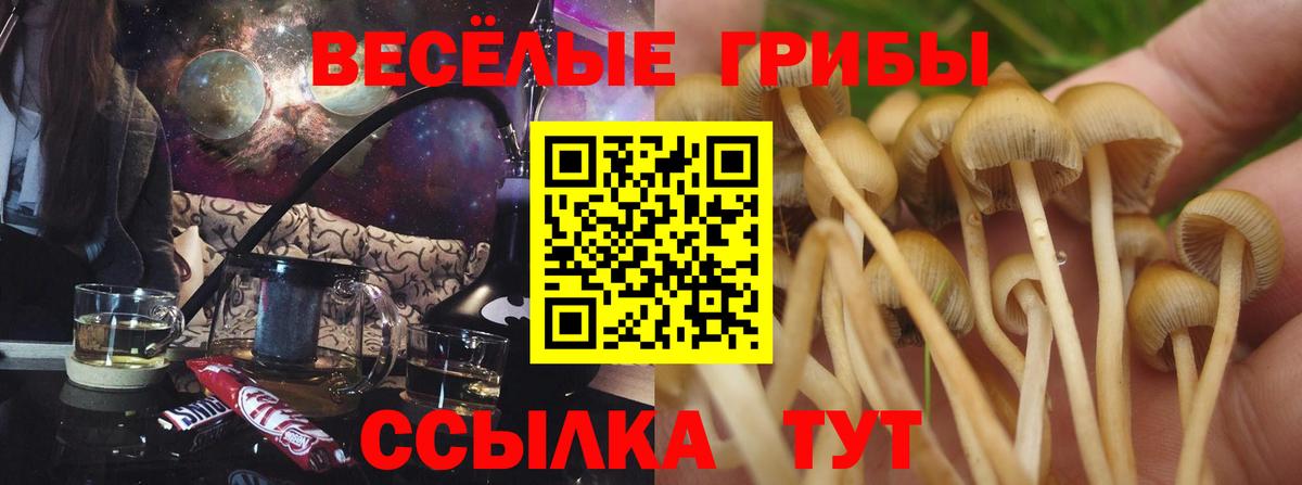 Псилоцибиновые грибы мицелий  Вход с VPN  наркошоп  Бугуруслан 