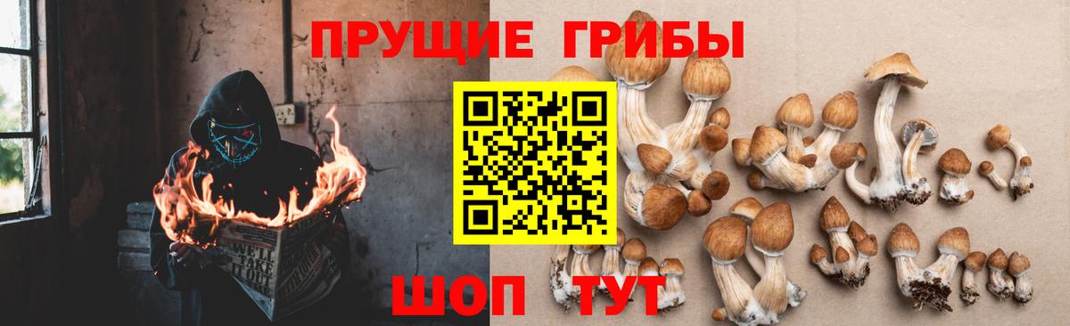 Псилоцибиновые грибы ЛСД Бугуруслан